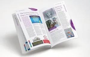 SVC Fountain 550x350