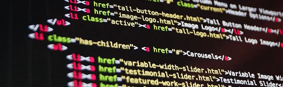 web developer img web developer img