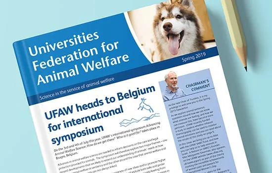 for web 2 copy for web 2 copy