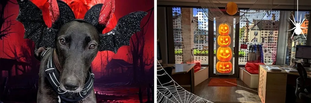 Corporate branding and web design services