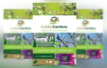 Creative brand marketing graphics for companies