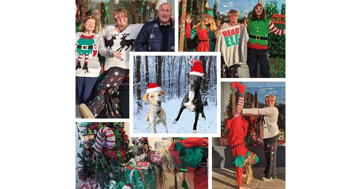 Professional design and marketing agency in Cambridge